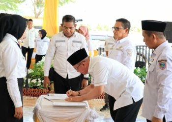 45 Orang Lulus Seleksi P3K Kotabaru