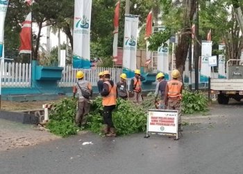 DLH Banjarbaru Pangkas Pohon Rawan Tumbang