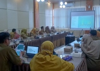Bappeda Litbang Kabupaten Banjar Lakukan FGD Pemutakhiran Data