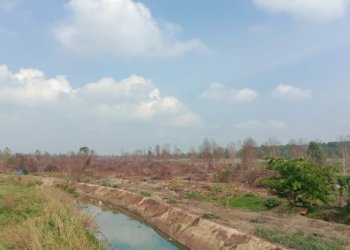 Turun Hujan Karhutla di Banjarbaru Berkurang