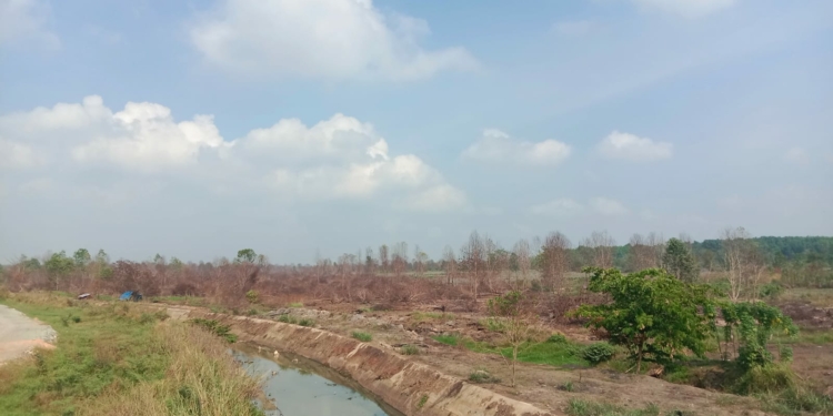 Turun Hujan Karhutla di Banjarbaru Berkurang