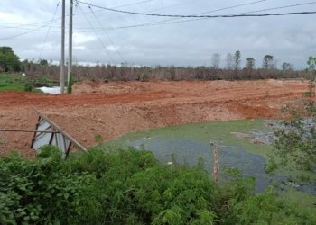 Aliran Sungai Guntung Damar Tertutup, Warga Protes Kebun Sayur Terendam