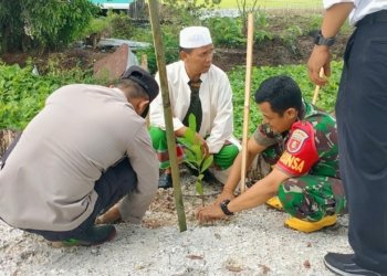 Peduli Lingkungan, Kiri Kanan Jalan Desa Manarap Baru Di Tanam Pohon Oleh Koramil Dan Warga