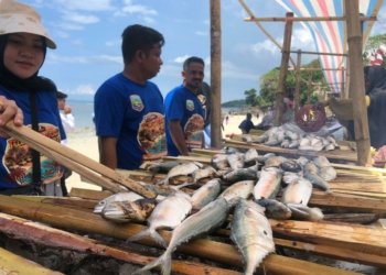 Festival Ikan Bakar Sepanjang 200 Meter di Teluk Tamiang Kotabaru