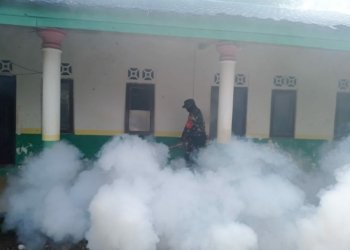 Koramil Bersama Puskesmas Dan Aparat Desa Kupang Rejo Lakukan Fogging Basmi Sarang Dan Jentik Nyamuk 