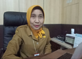 Kasus Demam Berdarah Meningkat Di Kabupaten Banjar, Malah Sudah Ada Yang Meninggal, Yasna Khairina: Fogging Hanya Membunuh Nyamuk Dewasa, Bukan Jentik Jentik
