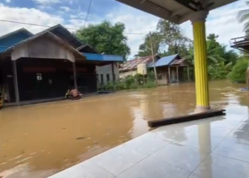Air Mulai Naik Di Desa Rantau Nangka