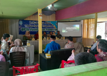 Lokakarya Mini Kesehatan Di Lakukan Di Kecamatan Pengaron