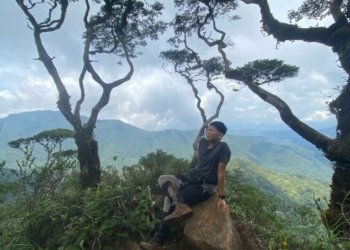 Pohon Bonsai Berusia Ratusan Tahun Ada di Puncak Gunung Kahung?