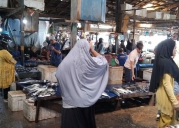 Tahun Baru Stok Ikan di Pasar Tradisional Kotabaru Kosong!