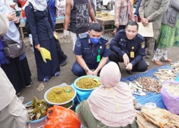 DKPP Kabupaten Banjar Lakukan Sidak Ke Pasar Martapura, Banyak Ditemukan Penjual Anak Ikan