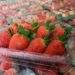 Langka! Omset Jual Buah Strawberry Di Banjarbaru Capai Jutaan Rupiah Perbulan