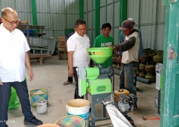 Awal Tahun, DKPP Kabupaten Banjar Lakukan Monitoring Lumbung Pangan