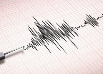 Gempa Awal Tahun 2024 di Poso