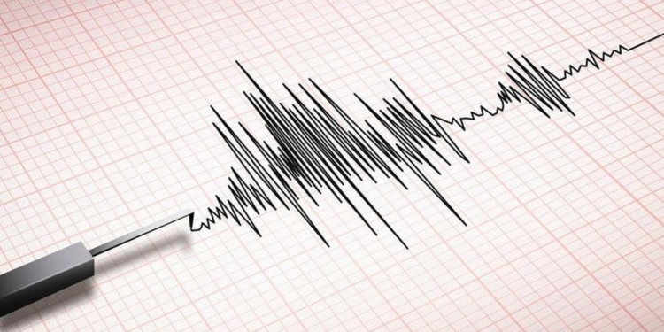 Gempa Awal Tahun 2024 di Poso