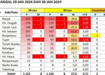 Kasus DBD Naik Signifikan, Di Kalsel Sudah 1.124 pasien