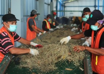 Tingkatkan Tata Kelola, PLN Sukses Turunkan Tingkat Risiko ESG