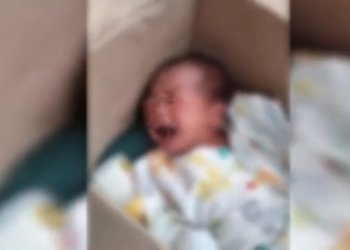 Per Januari 2024, Kekerasan Terhadap Perempuan Dan Anak di Banjarbaru Capai 8 Kasus