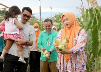 Bupati Banjar Bersama Ketua TP PKK Panen Buah Dan Sayur, Ini Menjadi Percontohan Bagi PKK Yang Lain