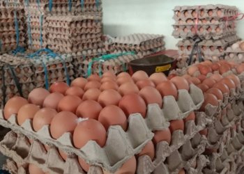 Jelang Ramadhan, Harga Telur di Kota Banjarbaru Naik