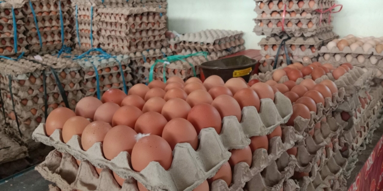 Jelang Ramadhan, Harga Telur di Kota Banjarbaru Naik