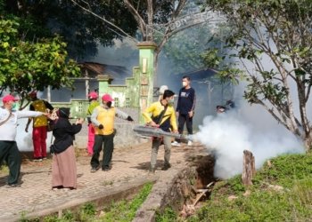 Dinkes Kotabaru Laksanakan Fogging Cegah Peningkatan DBD