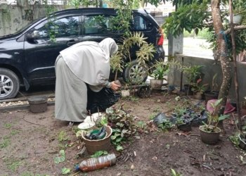 Update! Awal Februari Kasus DBD di Banjarbaru Bertambah 23 Kasus