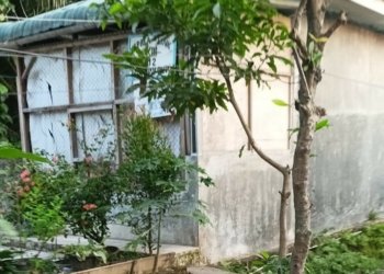 Terjadi Pembiaran Bangunan Liar, Masyarakat Jalan Tuba III Resah Oleh Ulah Oknum Kepling XIII