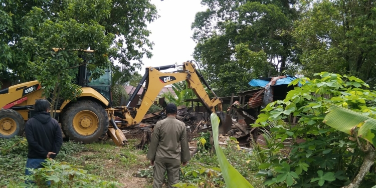 Satpol PP Banjarbaru Bongkar Kandang Babi