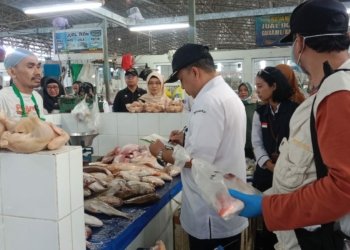 Jamin Mutu Dan Kesehatan Pangan Ikan, BKIPM Banjarmasin Monitoring Ke Pasar Bauntung Banjarbaru