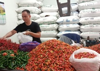 Awal Ramadhan, Sejumlah Harga Pangan di Pasar Bauntung Banjarbaru Turun