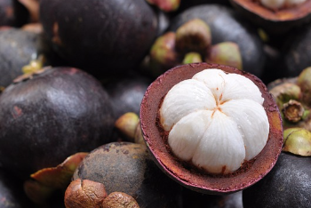 Berikut Manfaat Buah Manggis Bagi Kesehatan