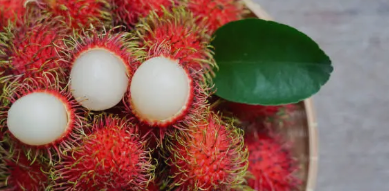 Selain Buahnya, Berikut Manfaat Daun Pohon Rambutan Bagi Kesehatan
