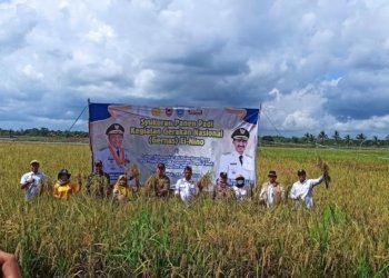 Kelompok Tani Pejambuan Raya Memanen Padi dalam Kegiatan Gernas El Nino