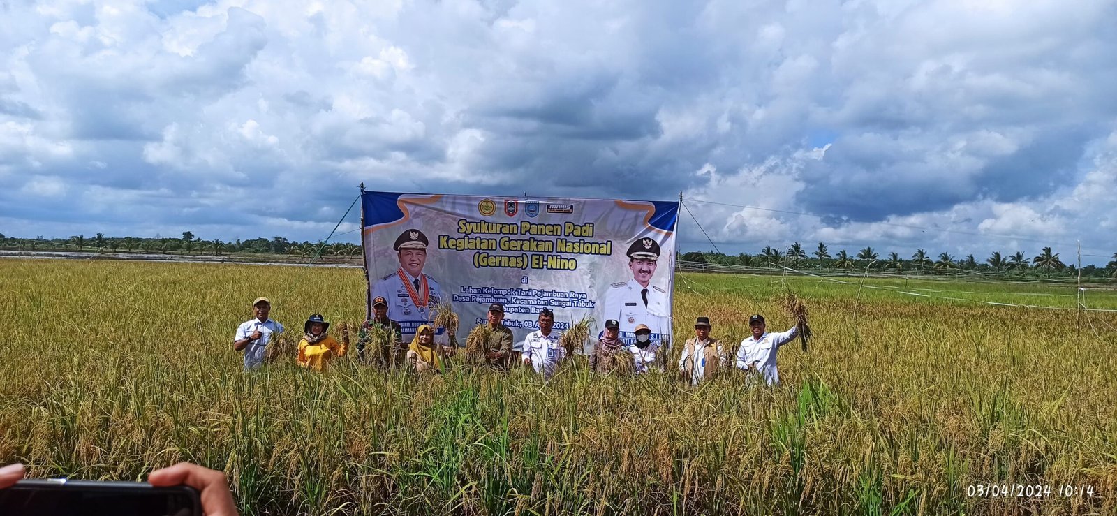 Kelompok Tani Pejambuan Raya Memanen Padi dalam Kegiatan Gernas El Nino