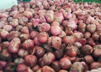 Pasca Lebaran Harga Bawang Malah Mahal