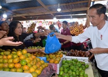 Presiden Beli Buah di Sumut, Pedagang : Saya Sangat Senang