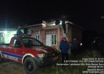 DPKP Kabupaten Banjar Evakuasi Sarang Tawon Dirumah Warga