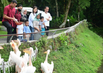 Presiden Jokowi Ajak Cucu Wisata Pengenalan Satwa