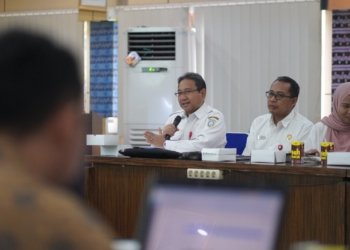 Rencana Pembangunan Industri Kabupaten Banjar 2025- 2045
