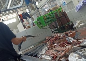 Pasokan Sedikit, Komoditas Ikan Laut di Pasar Bauntung Alami Kenaikan Harga