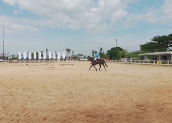 Johnhaus Stable, Wisata Berkuda Yang Seru Dan Asyik di Banjarbaru