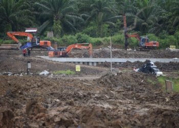 Jatam Hingga LSM Kaltim Bertemu Pemerintahan Belanda, Tere: Pembangunan IKN Pasti Akan Menggusur Warga