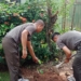 Kualitas Lingkungan, Prajurit Kodim 1006/Banjar Tanam Satu Pohon Satu Rumah