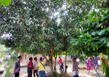 Kesetrum, Seorang Pelajar Meninggal Dunia Saat Memasang Kabel Wifi Gemnet