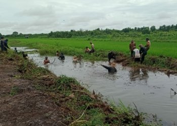 Petani Di Desa Keliling Benteng Ilir Lakukan Pembersihan Saluran Air