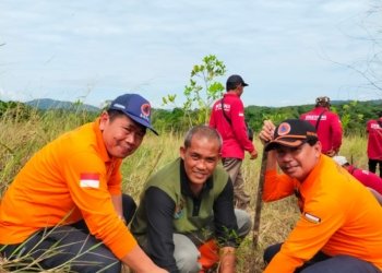BPBD Kabupaten Banjar Berkolaborasi Dalam Penanaman 250 Bibit Ketapang Kencana