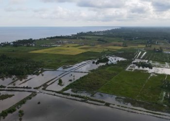 Banjir Landa Desa Sungai Lembu, Petani Merugi Ratusan Juta Karena Gagal Panen