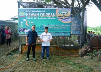 Kodim 1022 Tanbu Potong Delapan Ekor Sapi Untuk Masyarakat Tidak Mampu di Idul Adha 1445 H