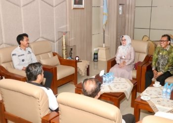 Bupati Terima Kunjungan Audiensi BPS Kabupaten Banjar